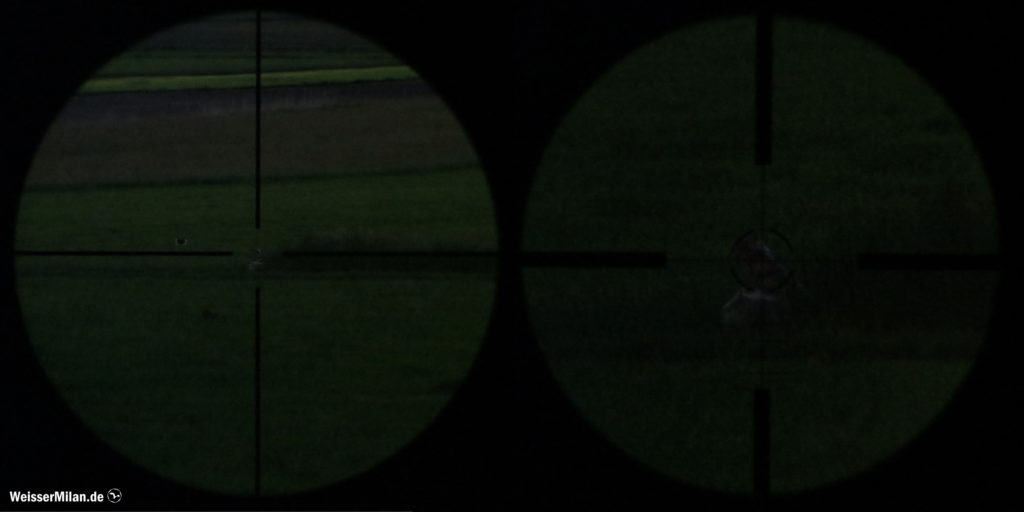 Eine Fuchsscheibe in der Dämmerung. Anvisiert mit 3-facher (links) und 9-facher Vergrößerung (rechts). Das Heranzoomen bringt bei diesen Lichtverhältnissen keinen Vorteil, da das Bild mit zunehmender Vergrößerung immer dunkler wird.